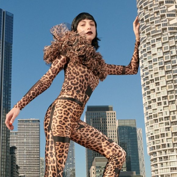 NWT H&M Studio Collection Flounce-trimmed Mesh Leopard Animal print Top Shirt XL - Picture 1 of 8